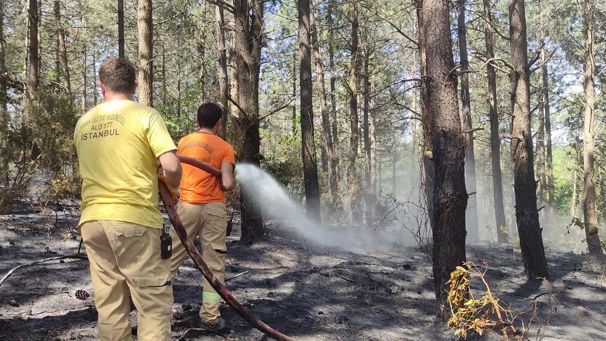 Eyüpsultan'da ormanda yangın-1