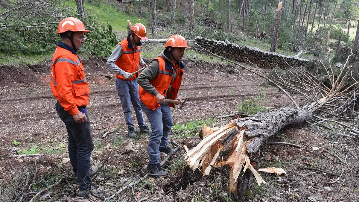 Firtina 600 cam agacini yerinden soktu 2 - öne çıkan - haberton