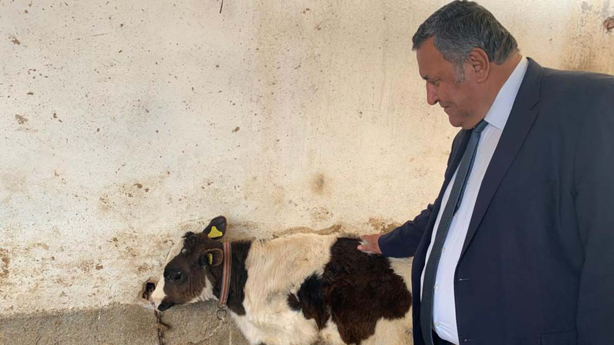 Hayvan hastalığı deyip geçmeyin size de bulaşır