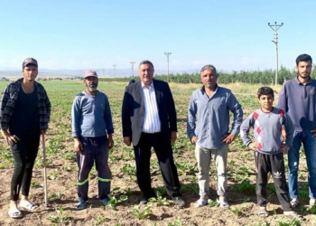 Nohut ve mercimekte taban fiyat açıklanmalı