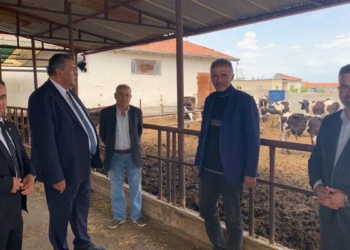 Hayvan hastalığı deyip geçmeyin size de bulaşır