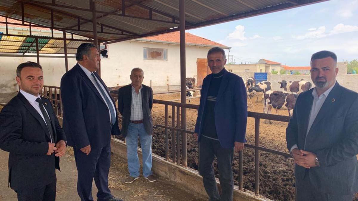 Hayvan hastalığı deyip geçmeyin size de bulaşır