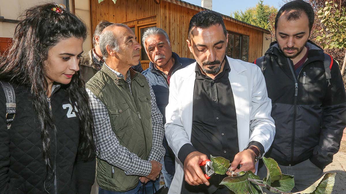 Yenimahalle'de bahçecilik kursu başladı