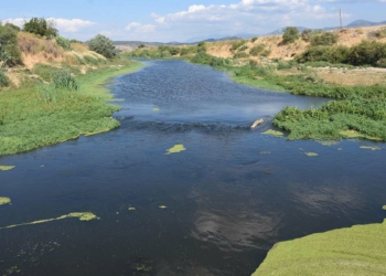 Gediz Nehri'nde kirlilik ve koku tedirginliği