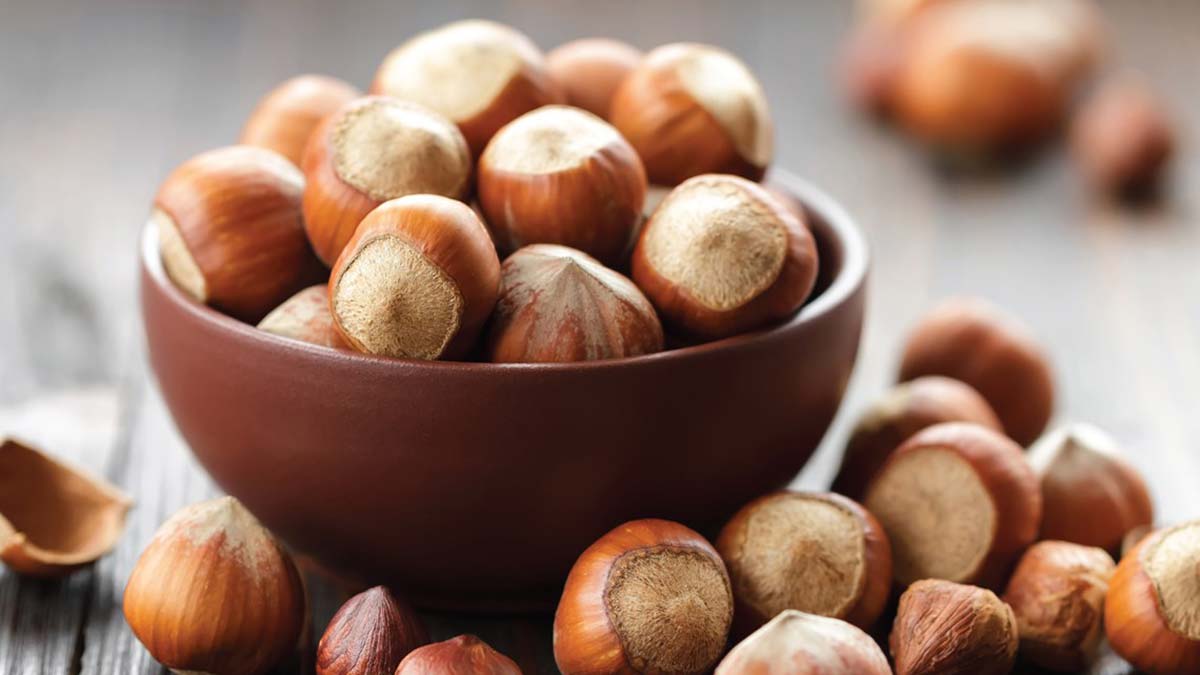 Giresun'un Tombul Fındığı