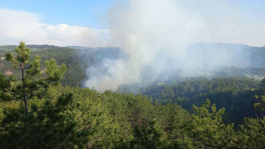Göynük'te orman yangınında 1 hektar alan yandı