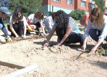Hacettepe'de ata tohumları toprakla buluştu