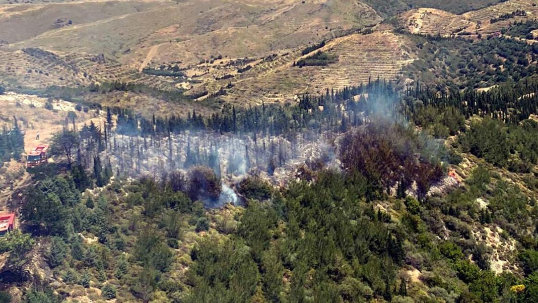 İzmir'in Seferihisar ilçesinde orman yangını