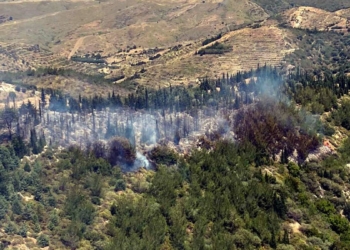 İzmir'in Seferihisar ilçesinde orman yangını