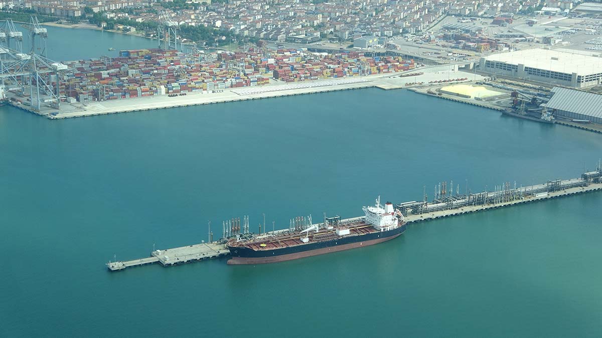 İzmit Körfezi'ndeki kimyasal canlıları etkiliyor