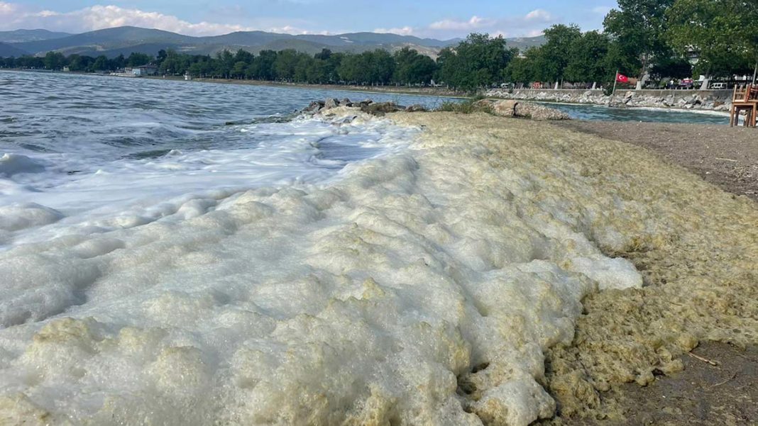 'İznik Gölü en fazla kirletilen alanlardan biri'