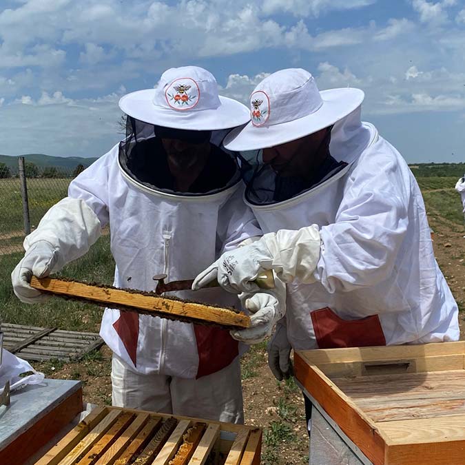 Eskişehir büyükşehir belediyesi ve han belediyesi işbirliğiyle başlatılan lavanta balı üretim projesi’nde girişimci kadınlar arıların ilk mahsulü polenleri aldı.