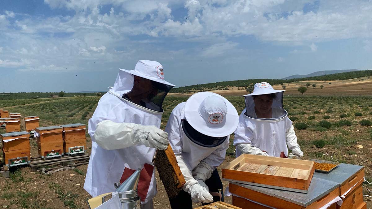 Arıların ilk mahsulü polenler alındı