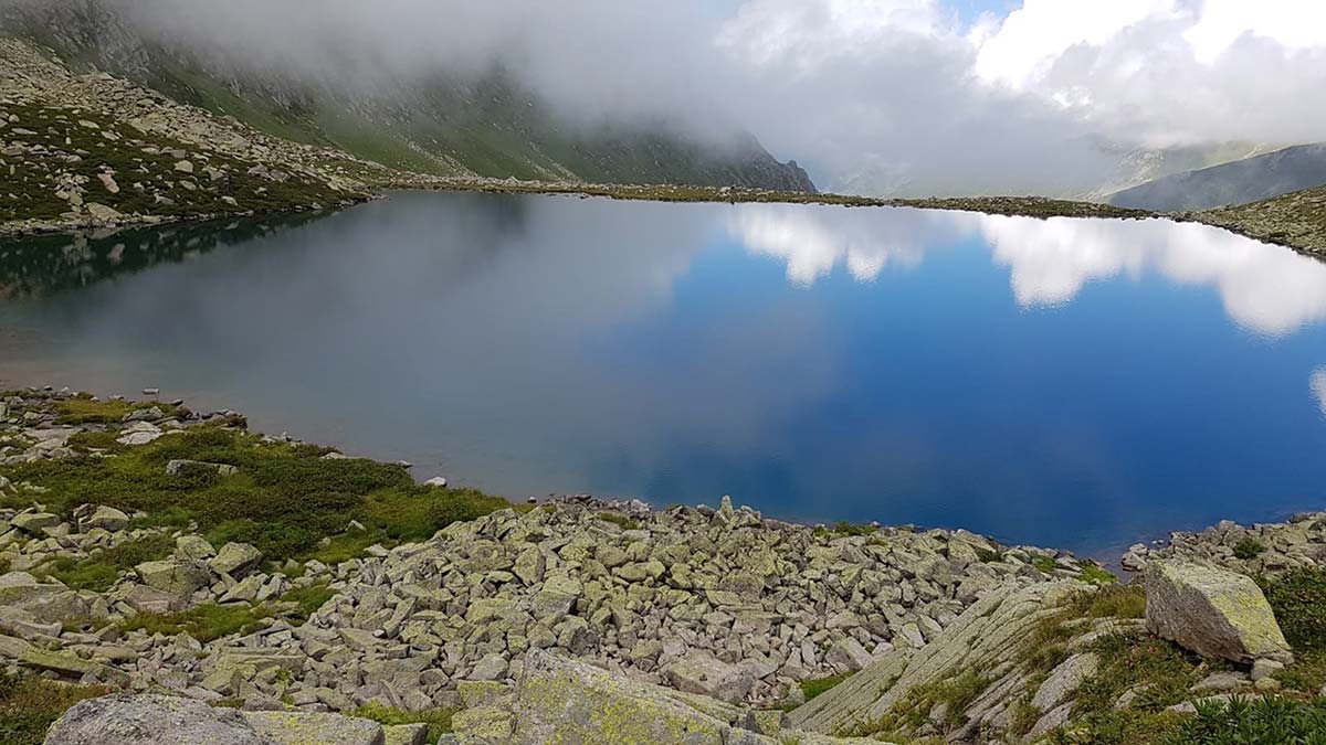 Kaçkar Dağları'nda 48 alg türü tespit edildi