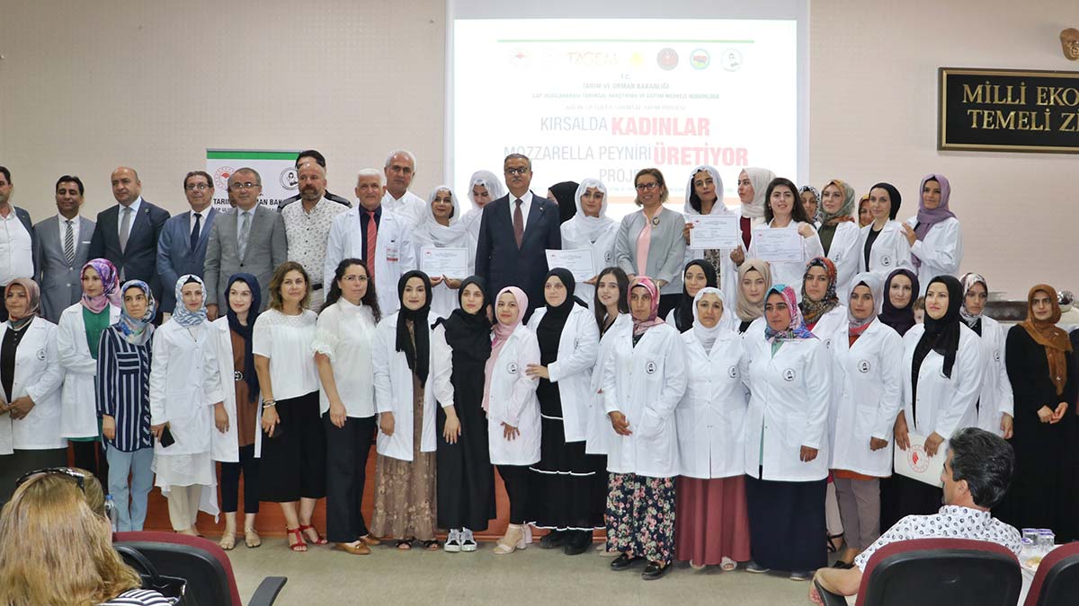 Kadınlar, mozerella peyniri yapımını öğrendi