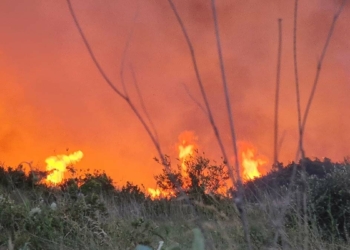 Kaş'ta iki noktada çıkan yangınlar söndürüldü