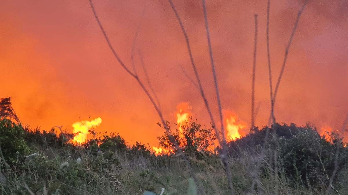 Kaş'ta iki noktada çıkan yangınlar söndürüldü