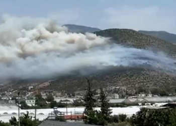 Kaş'ta makilik yangını çıktı