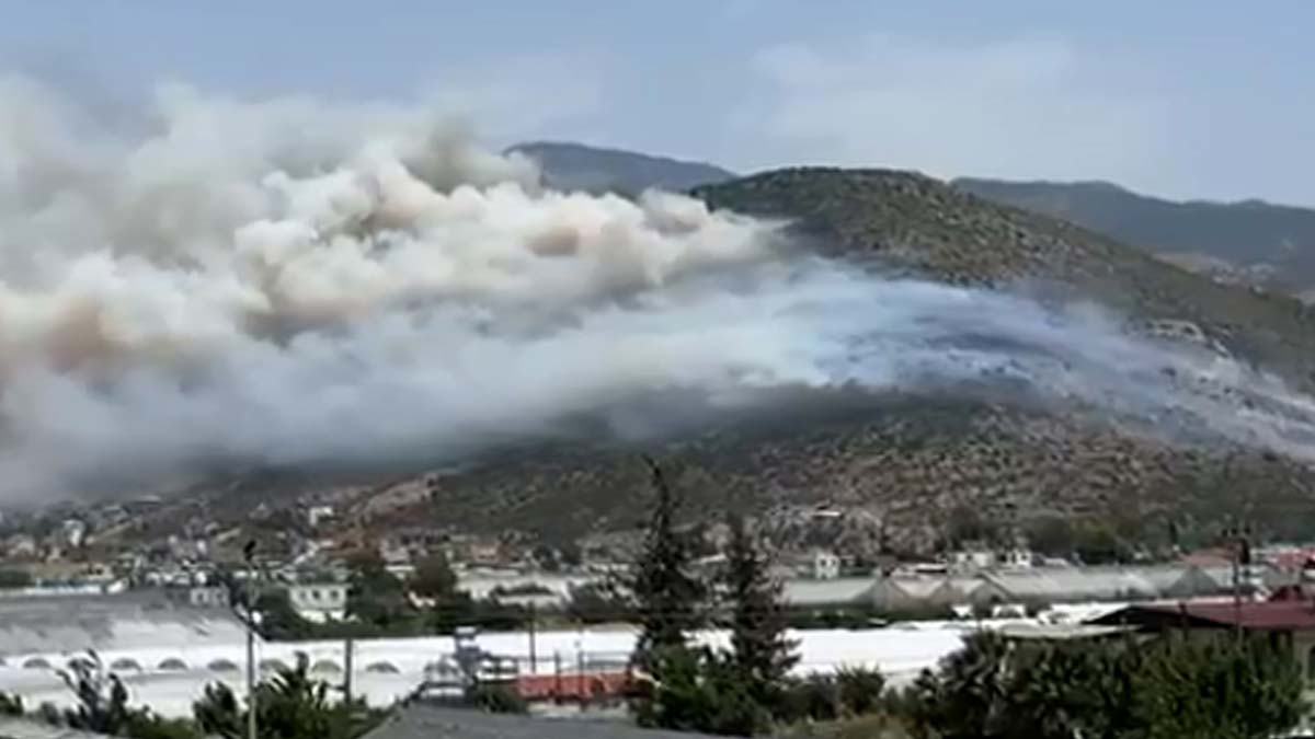 Kaş'ta makilik yangını çıktı