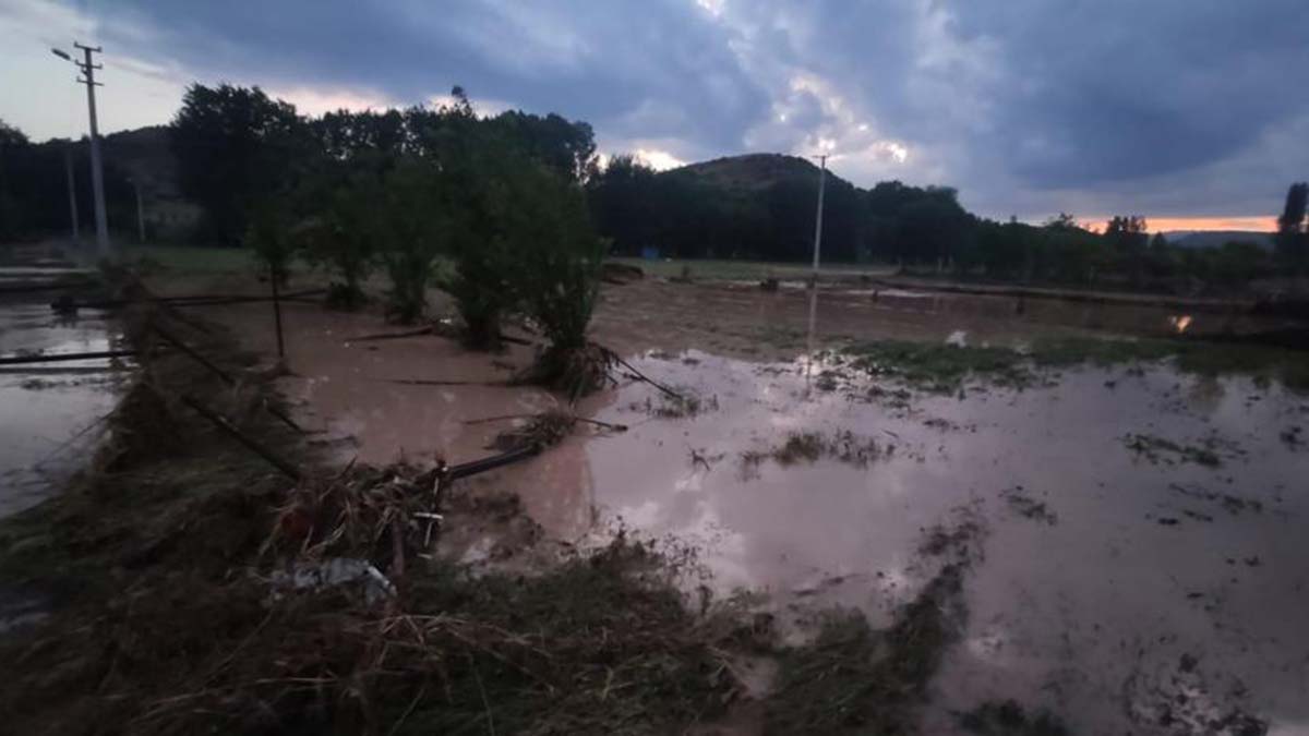Konya'da sağanak etkili oldu; 25 küçükbaş öldü