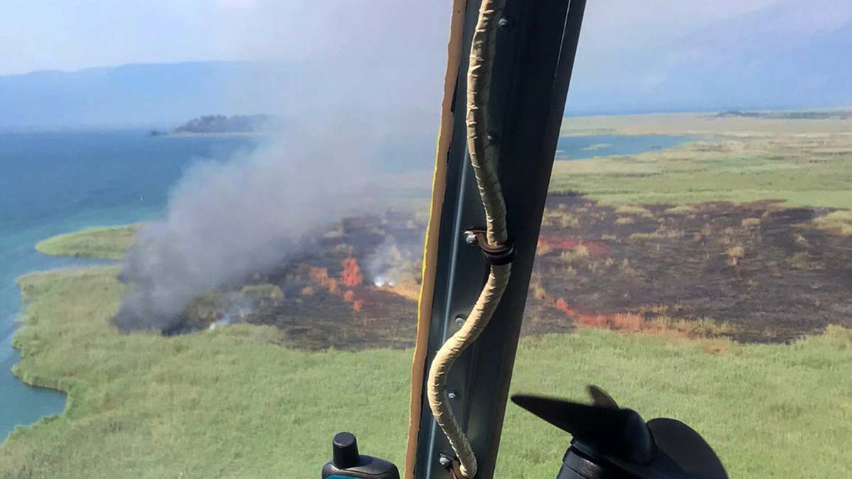 Köyceğiz Gölü kenarında sazlık yangını