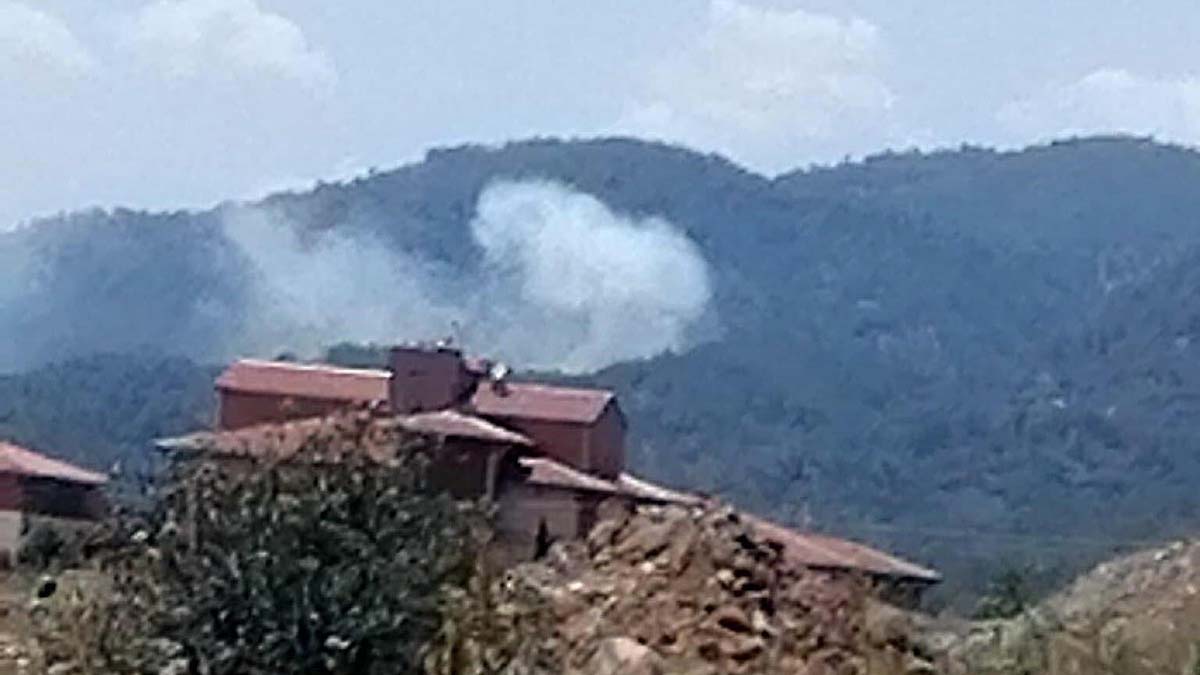 Köyceğiz'de de orman yangını