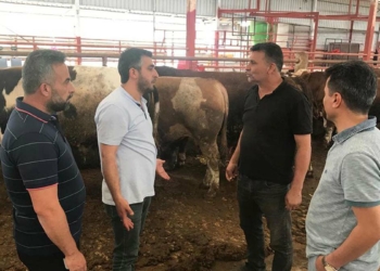 Kurbanlık satış yerleri hareketlendi