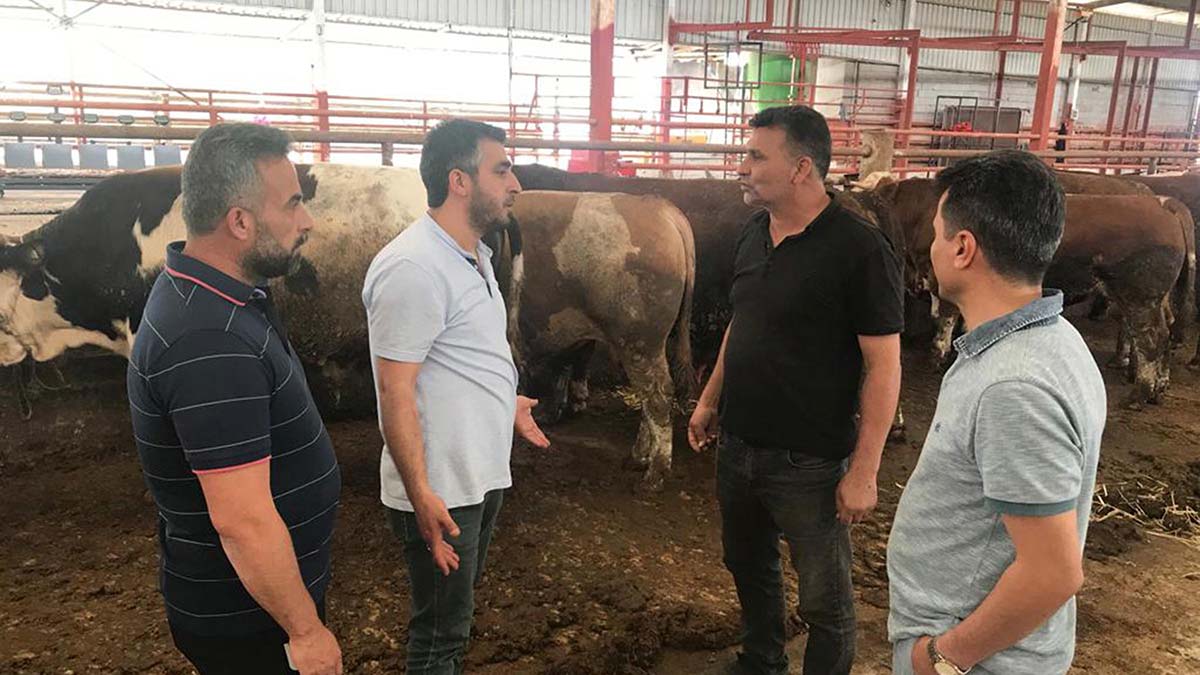 Kurbanlık satış yerleri hareketlendi