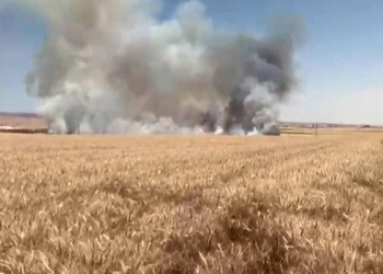 Mardin'de 55 dönüm ekili buğday yandı