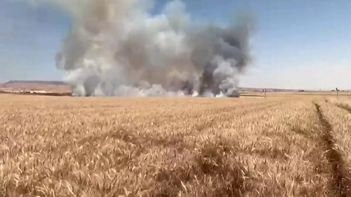 Mardin'de 55 dönüm ekili buğday yandı