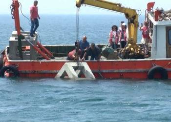 Marmara Denizi'ne 60 resif bırakıldı