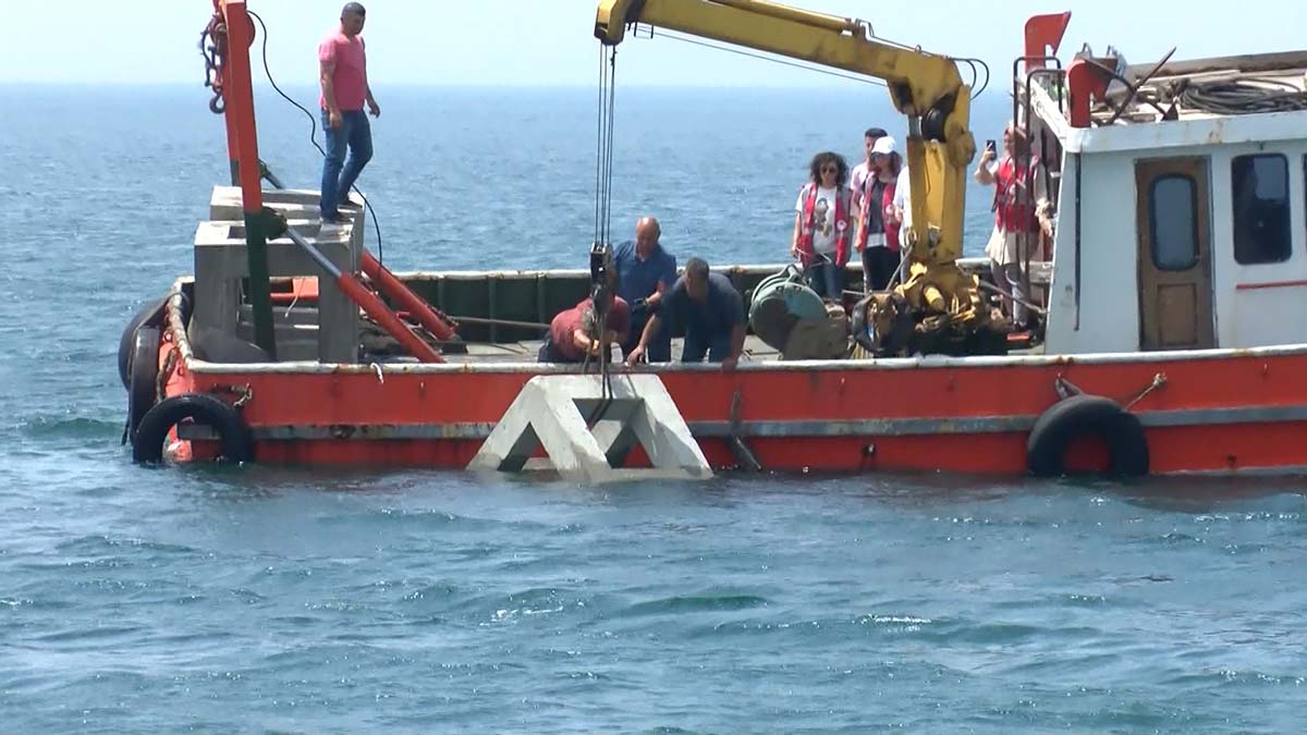 Marmara Denizi'ne 60 resif bırakıldı