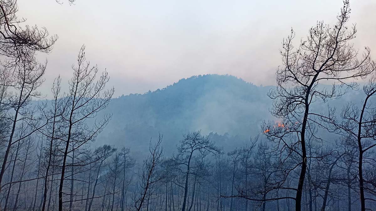 Marmaris yangını kontrol altına alınıyor