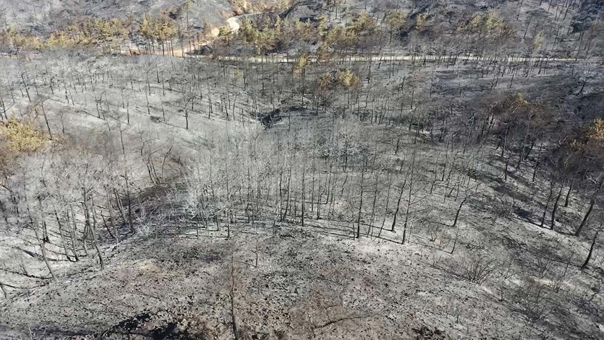 Marmaris'teki orman yangını 5'inci gününde