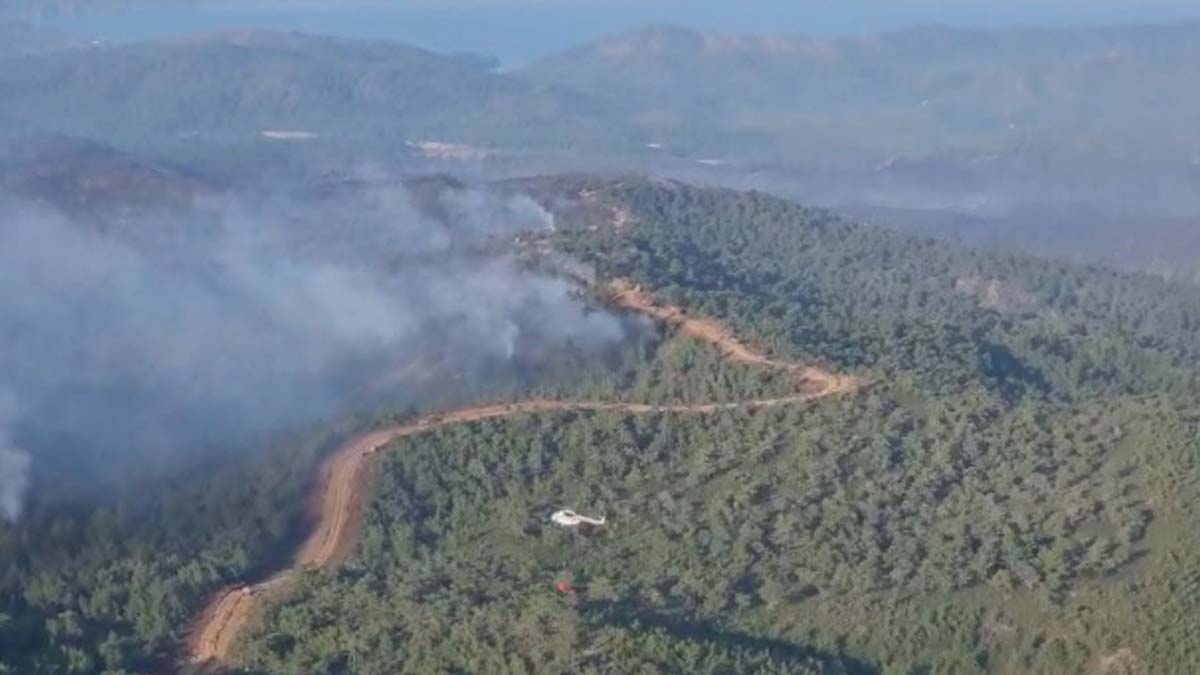 Marmaris'teki orman yangınında 3'üncü gün