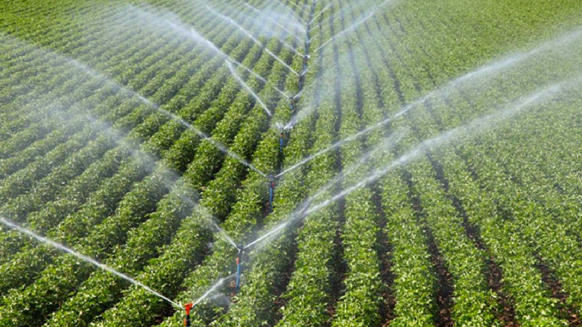 Modern Basınçlı Sulama Tesislerine 300 milyon TL hibe