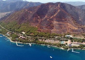 Muğla'da bazı ormanlara giriş yasaklandı