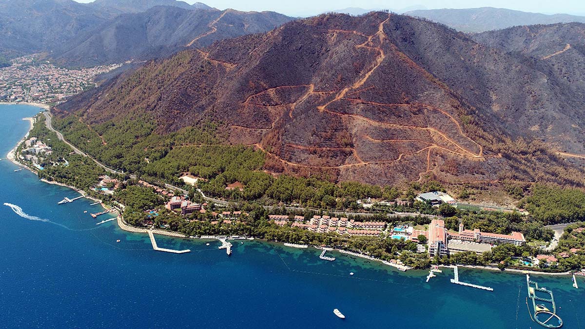 Muğla'da bazı ormanlara giriş yasaklandı