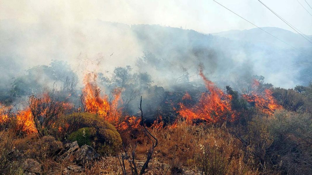 Muğla'da orman yangını: 1 hektar alan zarar gördü