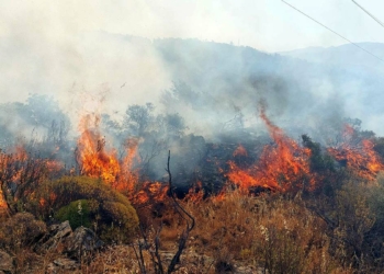 Muğla'da orman yangını: 1 hektar alan zarar gördü