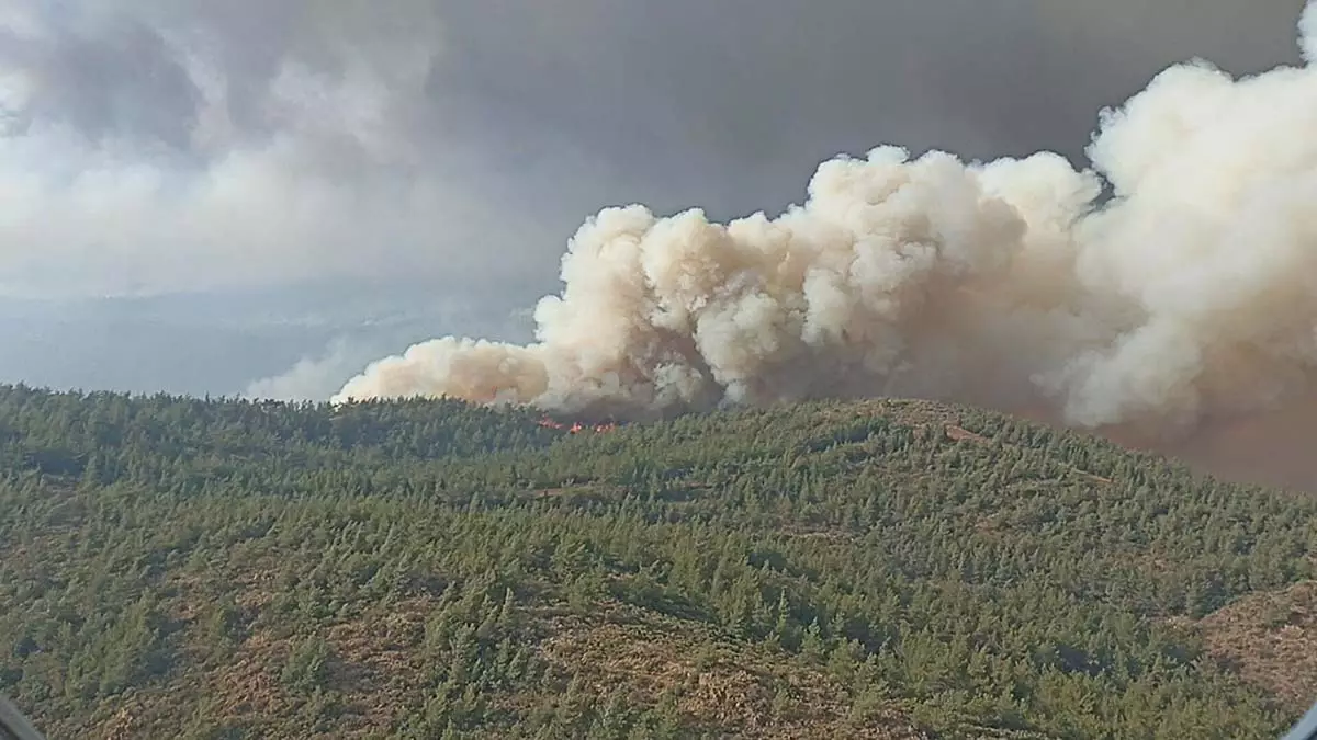 Orman yangını sayısı artıyor