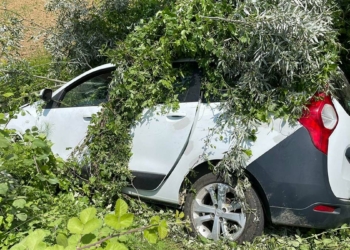 Özel öğrencileri taşıyan araç devrildi: 9 yaralı