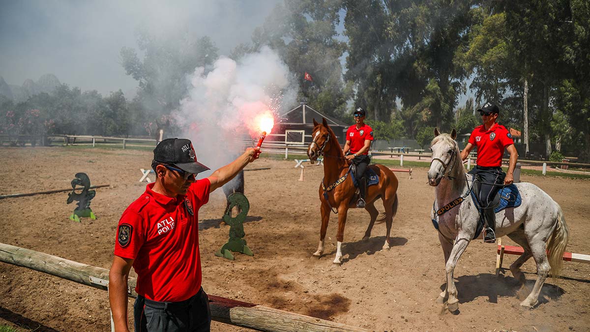 Polis atlarına teneke ve davullu eğitim