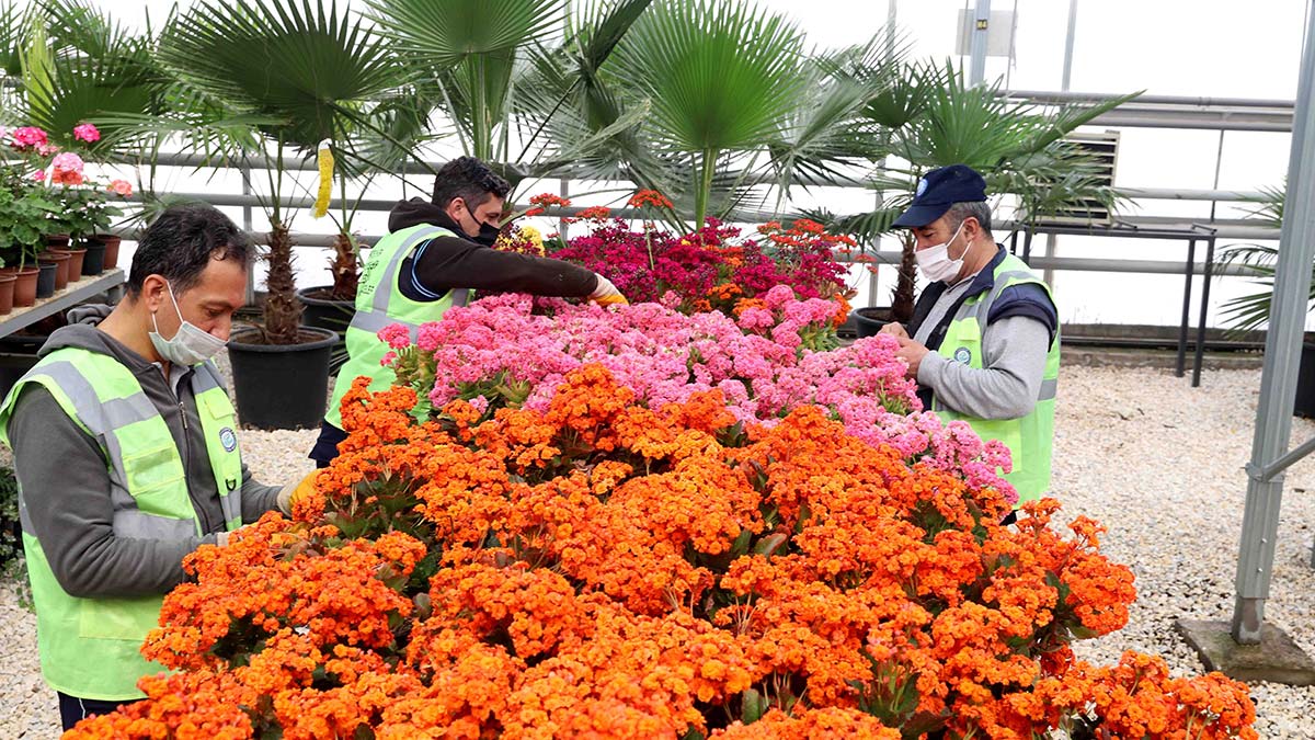 Kentin evsel atıklarını enerjiye dönüştürdüler