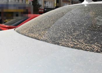 Sivas'ta toz taşınımı etkili oldu