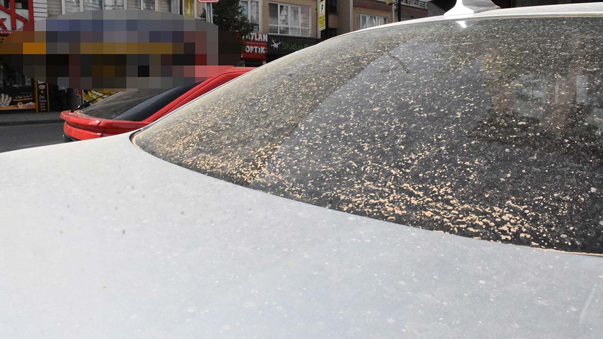 Sivas'ta toz taşınımı etkili oldu