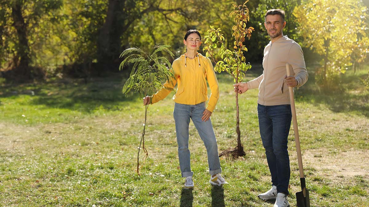 Teknosa'dan hatıra ormanı kampanyası