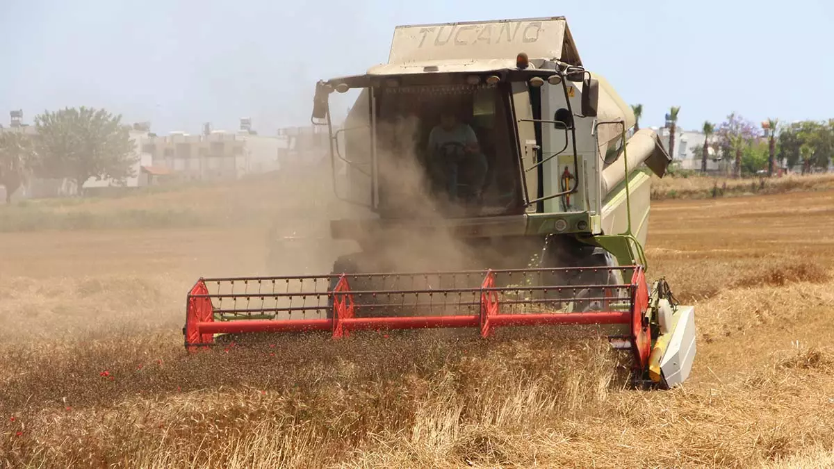Üretici buğday alım fiyatını bekliyor