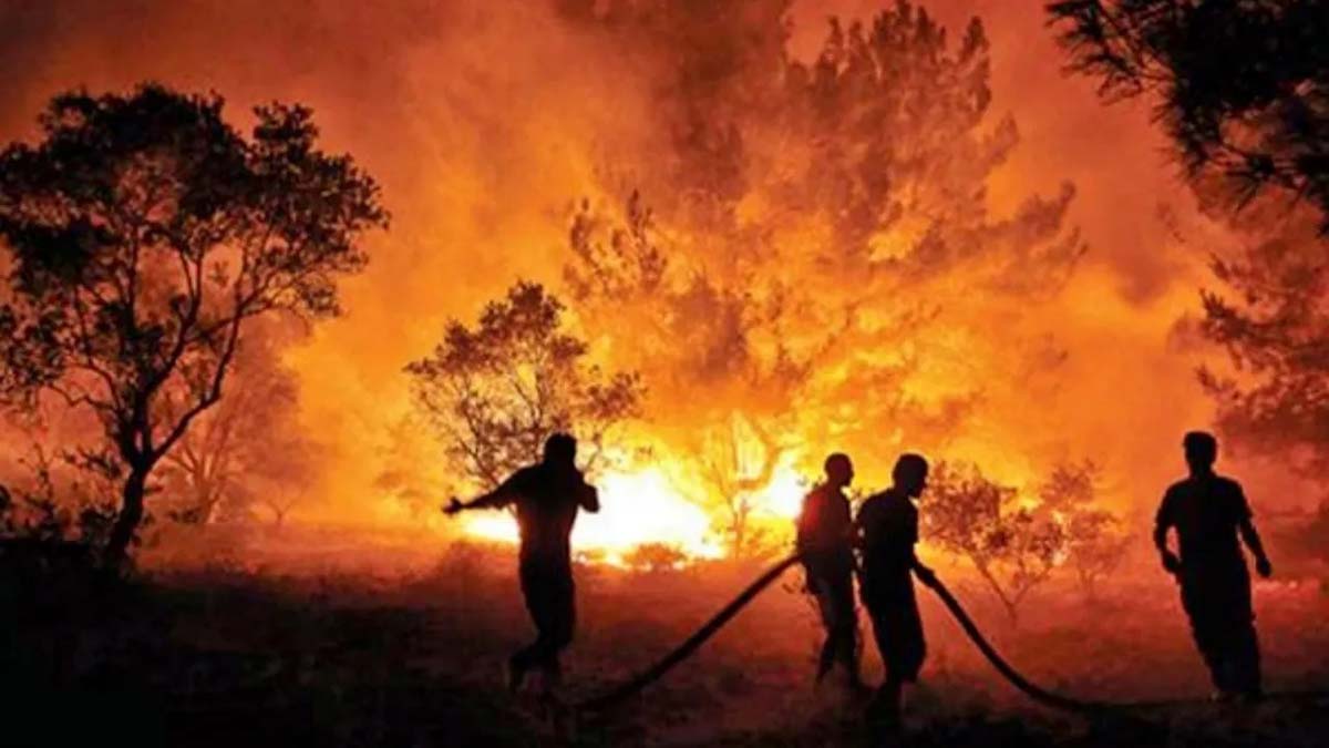 Validebağ Korusu yangınıyla ilgili dava düşürüldü