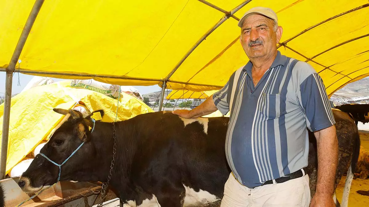 Yakacikta kurban cadirlari kurulmaya basladi 2 - yerel haberler - haberton